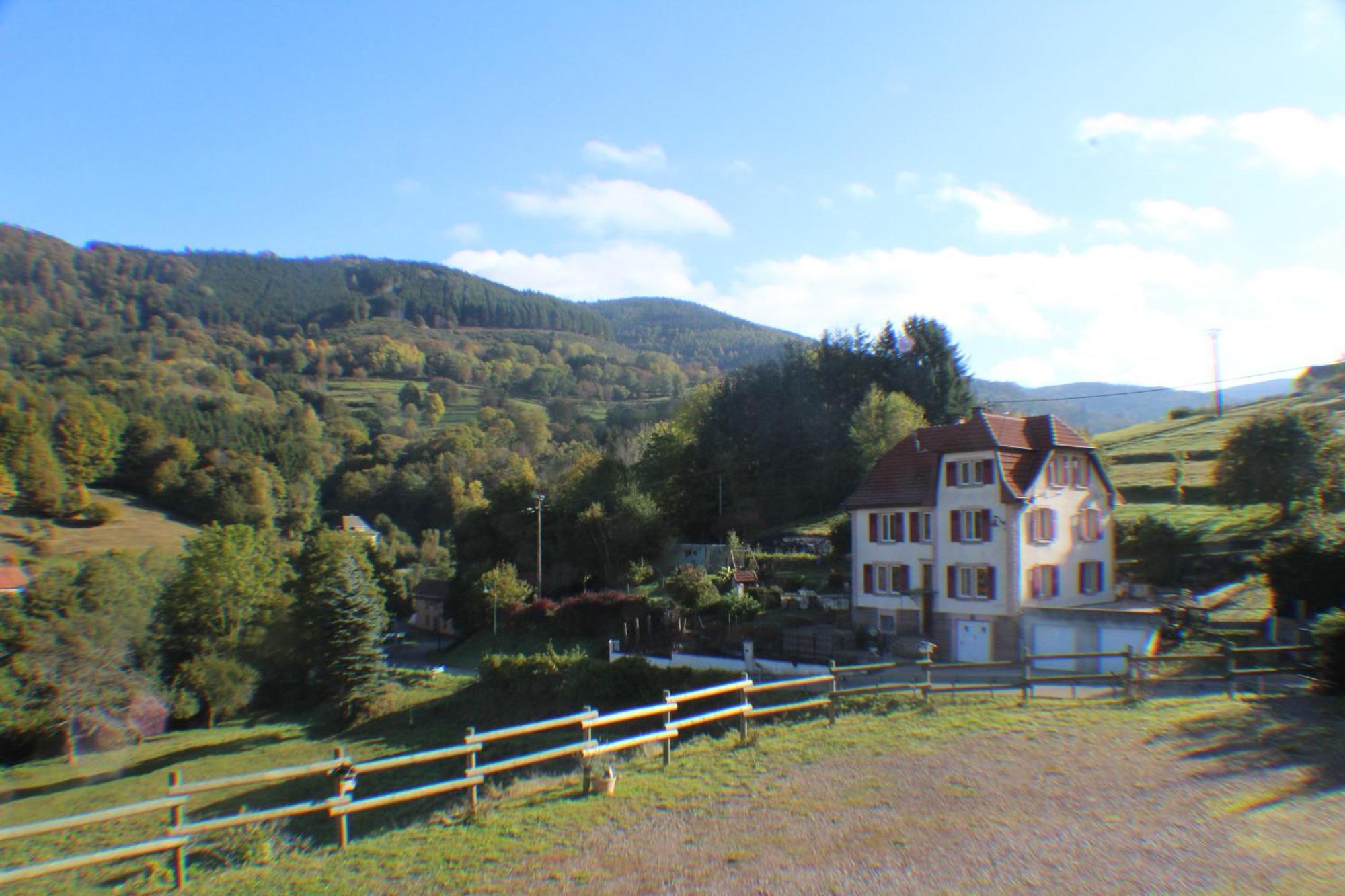 Domaine De La Charriere Sur 63 Ares - 8 Pers Grand Confort Villa Neuviller Exterior photo